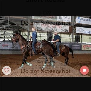 Meet your Posher, Avery